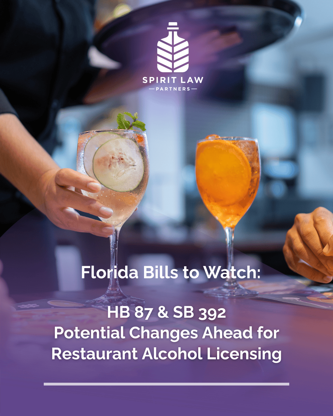 Florida Legislative Update: What HB 87 and SB 392 Could Mean for Alcohol, Hospitality, and Restaurant Businesses